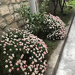 아파트 캘리포니아 *