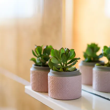 カリフォルニア *