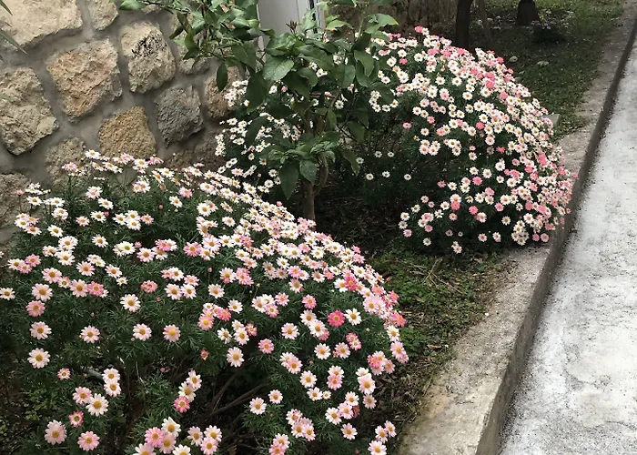 Apartman California *